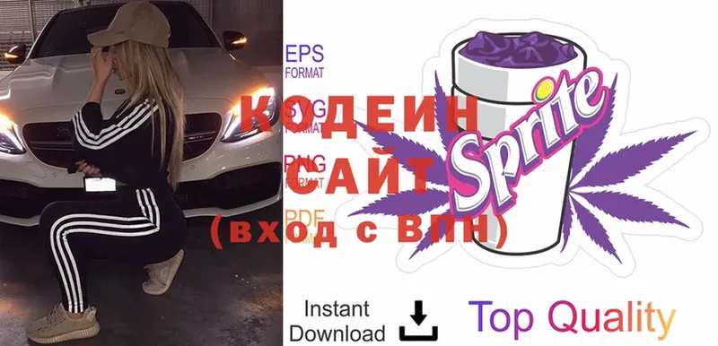 МЕГА tor  наркотики  Сыктывкар  Кодеин Purple Drank 